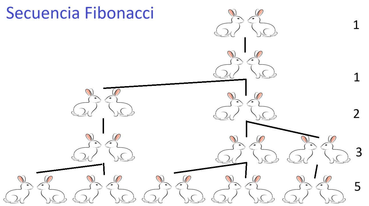 00-Secuencia-o-Sucesion-de-Fibonacci