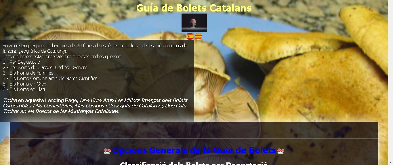 00-Ejemplo-Landing-Page